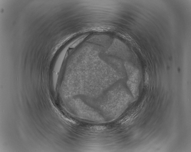 X0000061150444200512161559