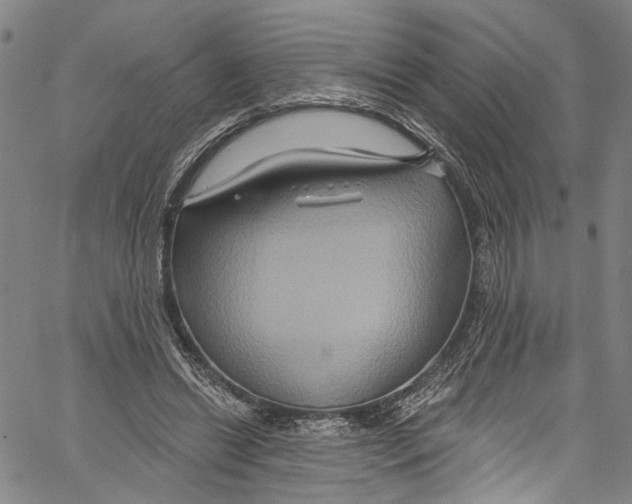 X0000061150446200512161559