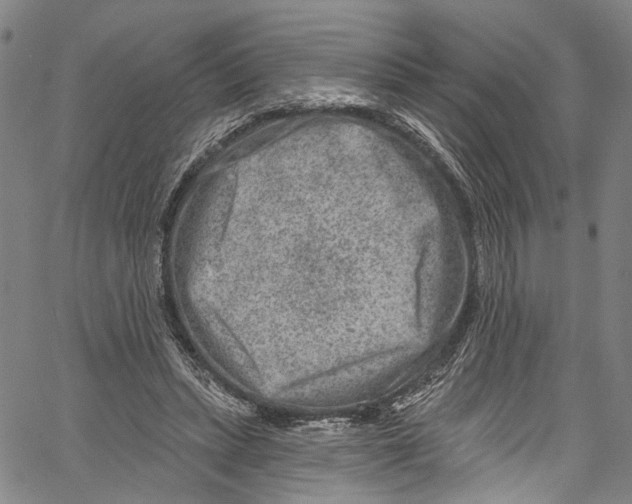 X0000061150447200512161559