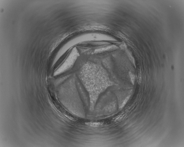 X0000061150448200512161559