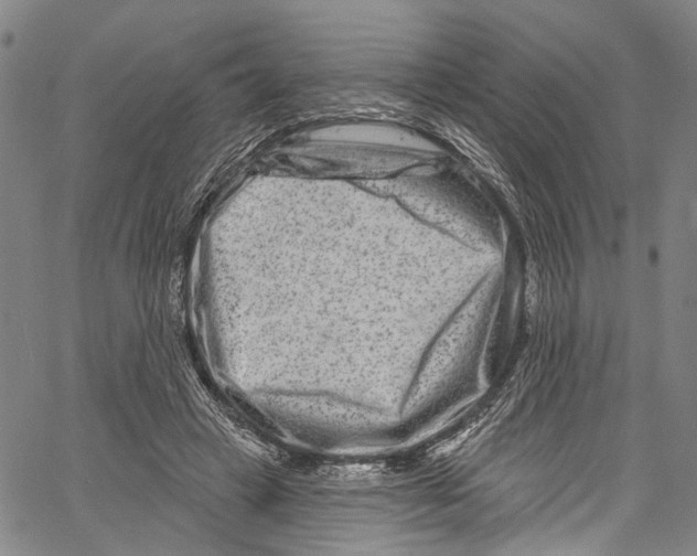 X0000061150449200512161559