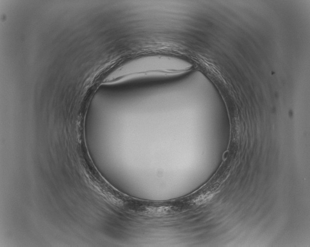 X0000061150450200512161559