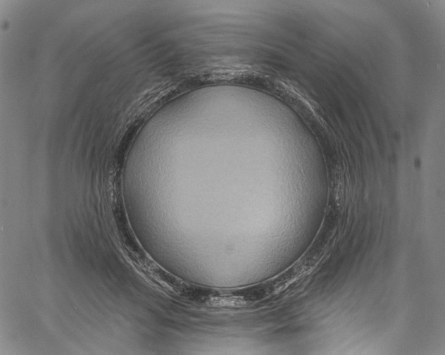 X0000061150455200512161600