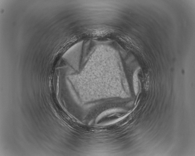 X0000061150456200512161600