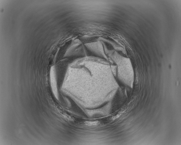 X0000061150457200512161600