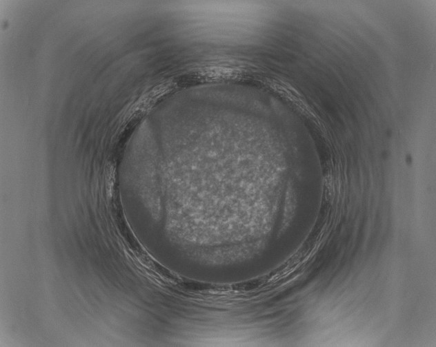 X0000061150458200512161600