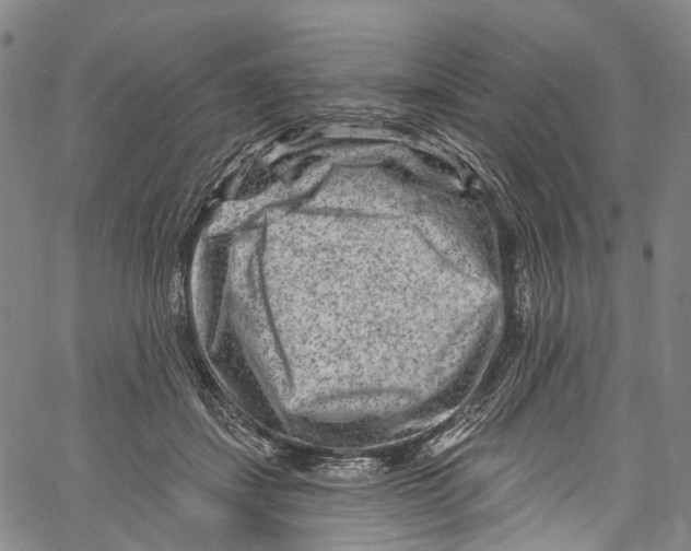 X0000061150459200512161600