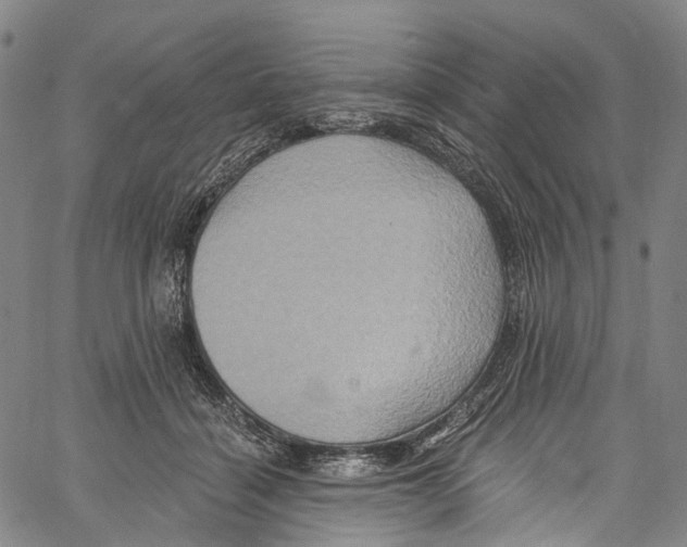 X0000061150460200512161600