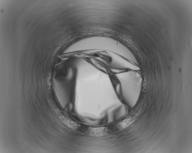 X0000061150461200512161600