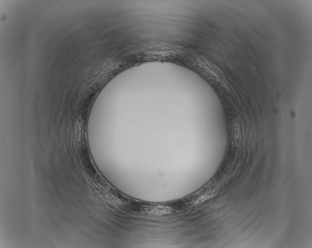 X0000061150463200512161600