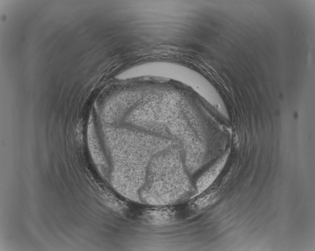 X0000061150466200512161600