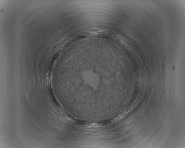 X0000061150467200512161600