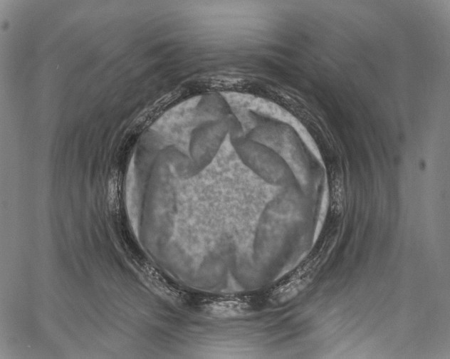 X0000061150468200512161600