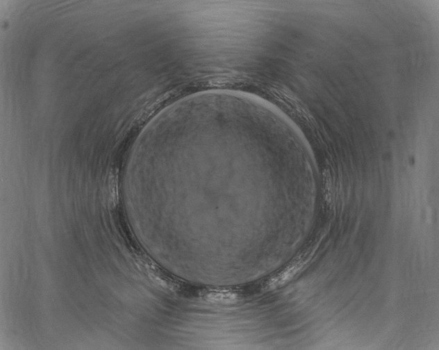 X0000061150471200512161600