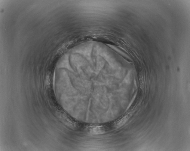 X0000061150472200512161600