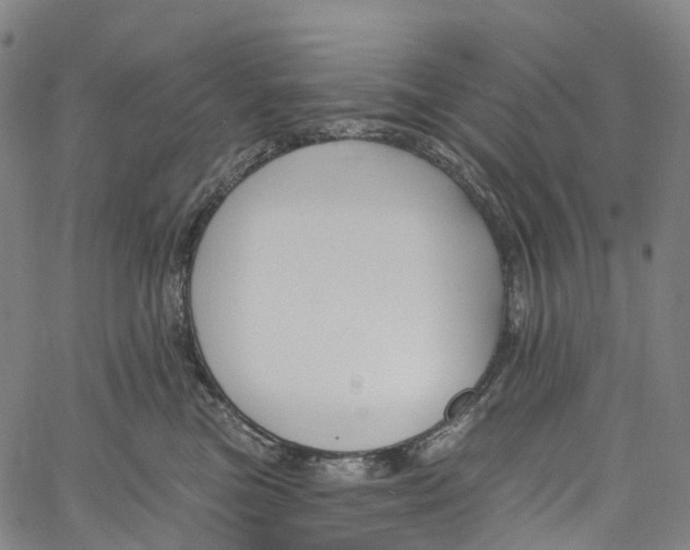 X0000061150473200512161600