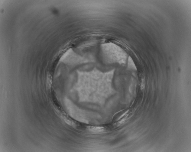 X0000061150476200512161600