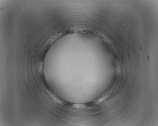 X0000061150477200512161600