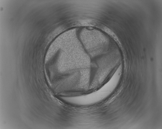 X0000061150481200512161559