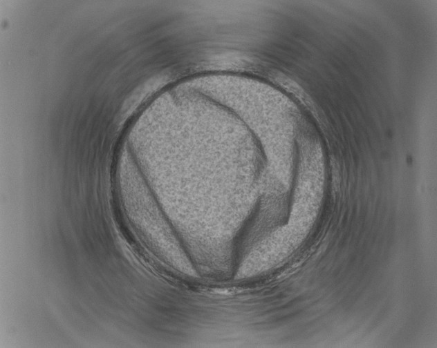 X0000061150482200512161559