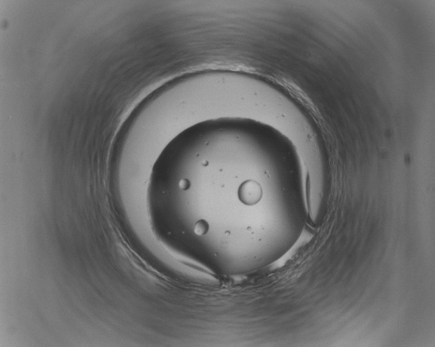 X0000061150484200512161559