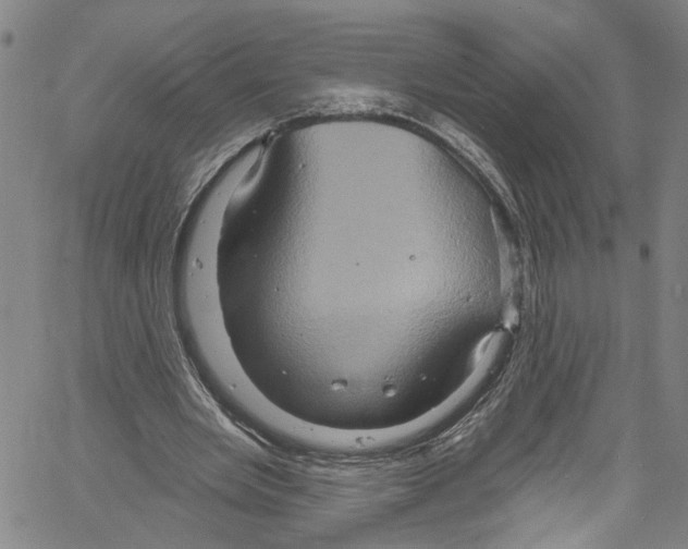 X0000061150485200512161559