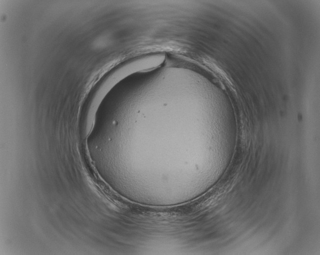 X0000061150486200512161559