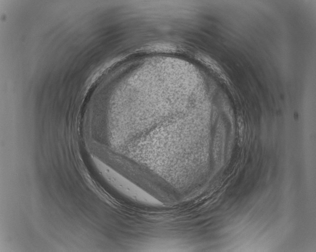 X0000061150487200512161559