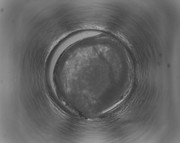 X0000061150488200512161559