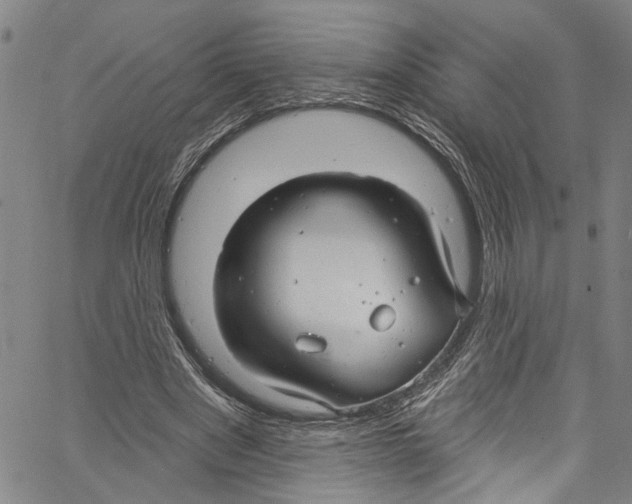 X0000061150489200512161559