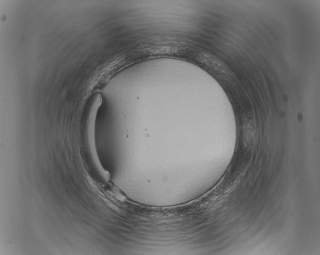 X0000061150490200512161559