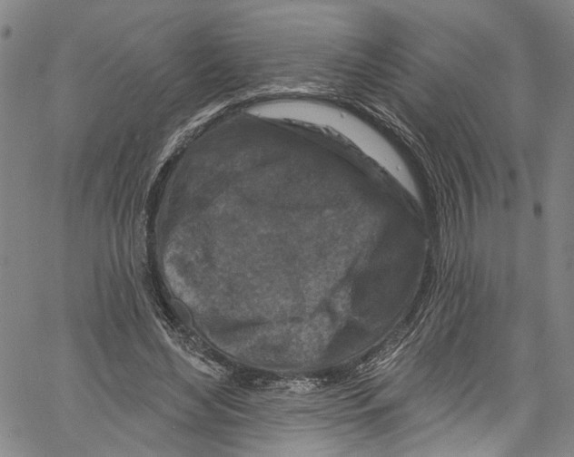 X0000061150492200512161559