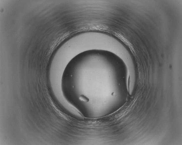 X0000061150493200512161559