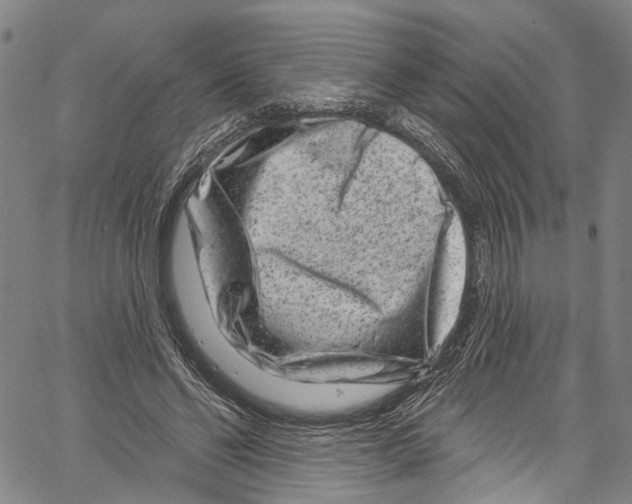 X0000061150494200512161559