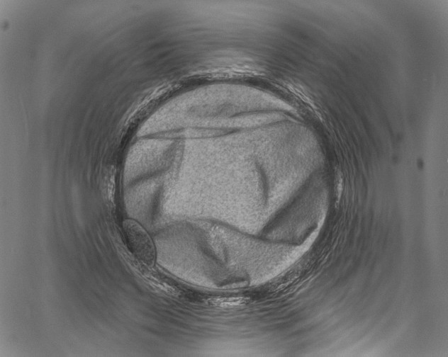 X0000061150495200512161559