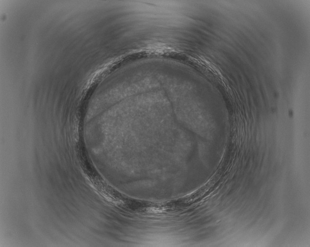 X0000061150496200512161559