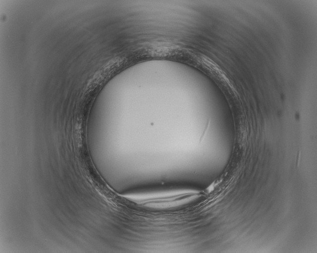 X0000061150497200512161559