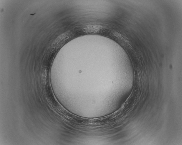 X0000061150498200512161559