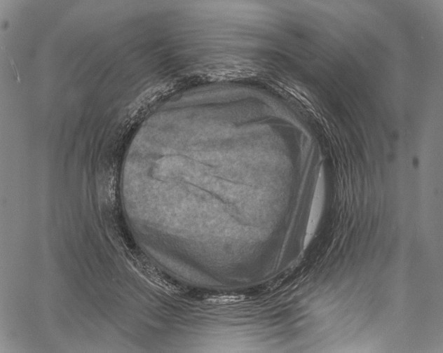 X0000061150499200512161559