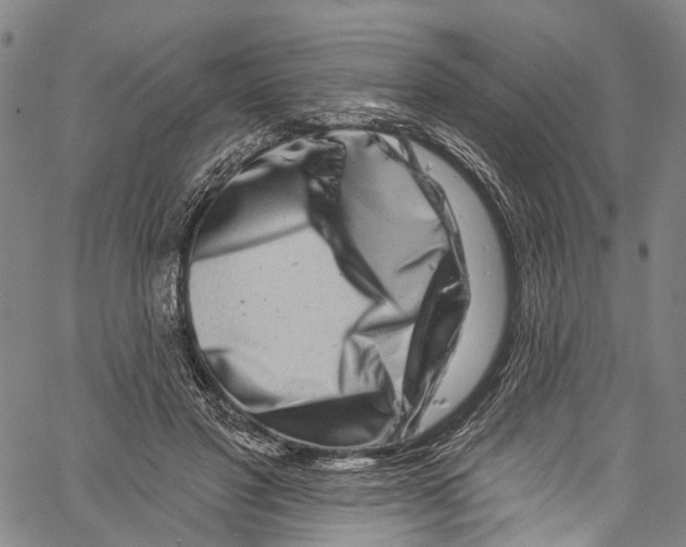 X0000061150501200512161559