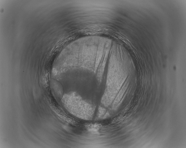 X0000061150503200512161559