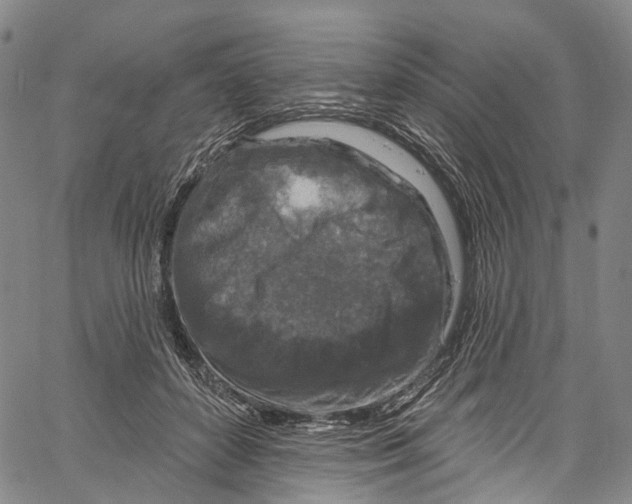 X0000061150504200512161559