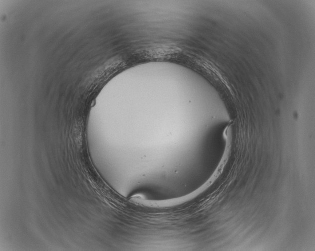 X0000061150505200512161559