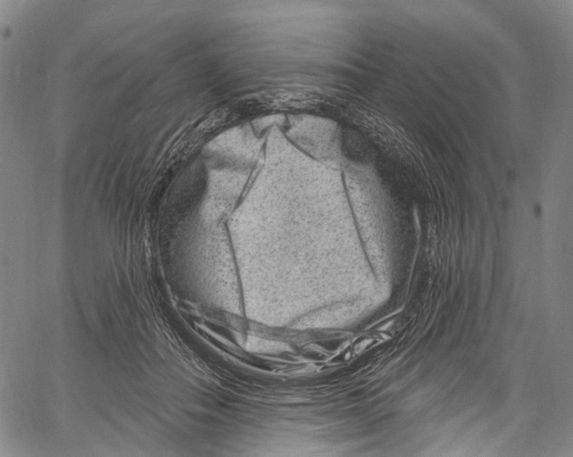 X0000061150506200512161559