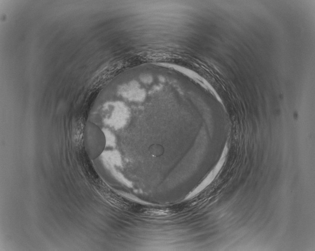 X0000061150507200512161559