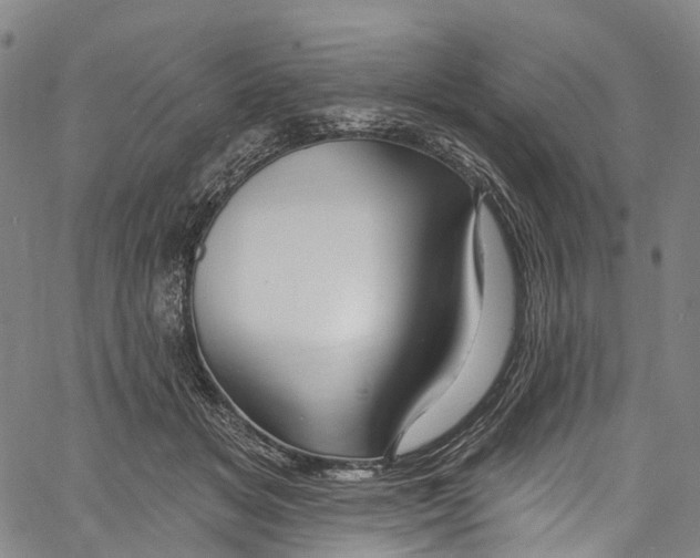 X0000061150509200512161559