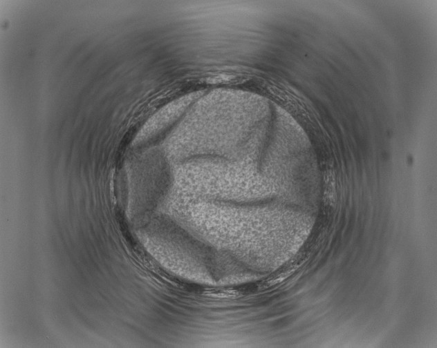 X0000061150510200512161559