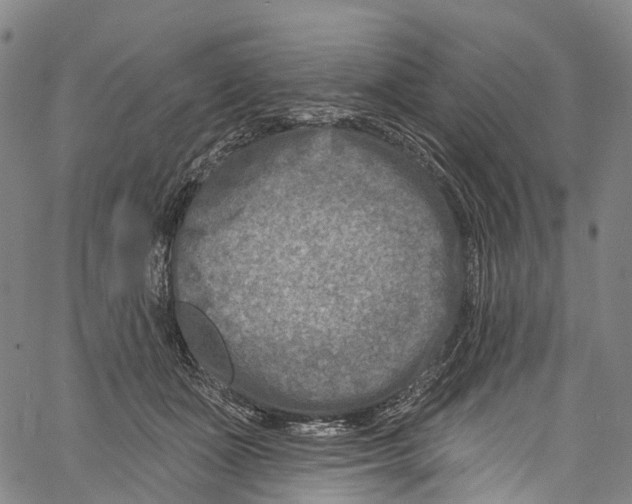 X0000061150511200512161559