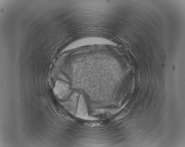 X0000061150512200512161559