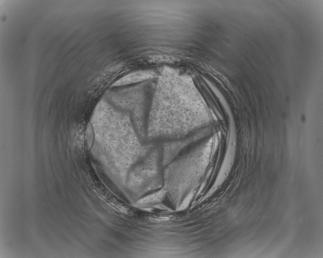 X0000061150513200512161559